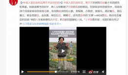 吃瓜91官网,热门娱乐资讯一手掌握